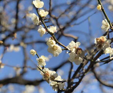 お返事します (思い出を昇華させませんか。) イメージ1