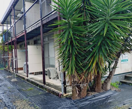 創業融資制度のサポートします 創業融資制度融資サポート（（株）日本政策金融公庫の創業融資） イメージ2