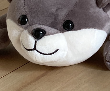 ご要望に合わせて丁寧に収録します イメージ1