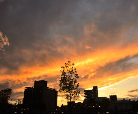 素材写真販売しています 使い道は癒しや書籍で利用、プリントアウト、グッズの用途など。 イメージ2