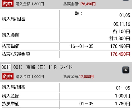 競馬の知識、オススメ馬、予想 教えます ★競馬はじめたいけど分からない方、馬券回収率を上げたい方★ イメージ2