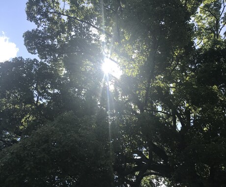 あなたの心の凝りをほぐすお手伝いをいたします 元医療従事者による心のメンテナンスを一度受けてみませんか？ イメージ1