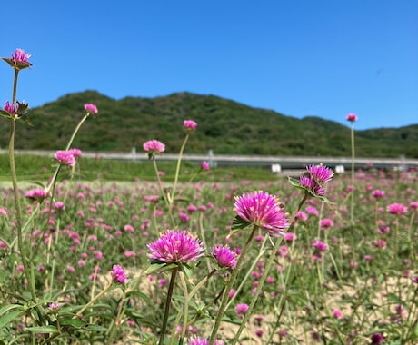 女性限定　心のお悩みお聴きします ここでは主に心のお悩みを伺います。他のお話もお気軽に。♪ イメージ2