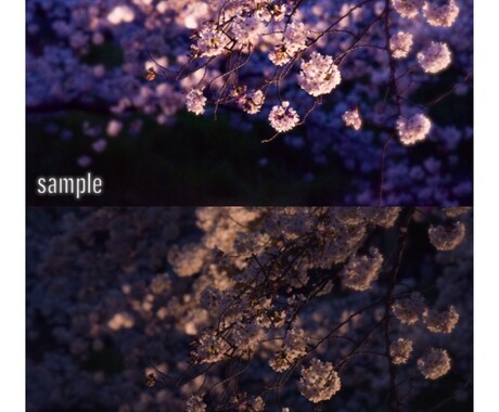 SNS用の写真を編集します SNSに載せる写真を少しの写真編集で羨ましがられる1枚に★ イメージ2