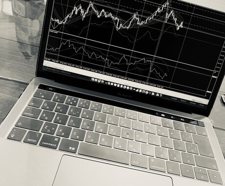 FX [独自構築] 運用サポート致します [FX] 手法公開サービスの追加サポートページです イメージ1