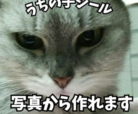 ペット写真でオリジナルシールデザイン作ります ☆お気に入りの写真で世界に一つのシール！ イメージ1
