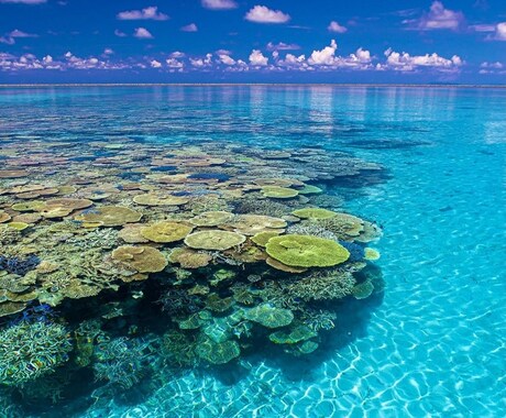 旅行先の相談を受け付けてます ファミリー向け、夫婦、カップル向け旅館ホテルお教えます！ イメージ1