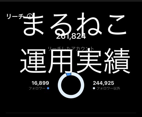 Instagramを１ヶ月いいね代行いたします いいねを1日150件フォローを40件代行致します。 イメージ2