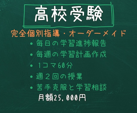 元京大院生のプロ講師が中学生を1ヶ月間教えます イメージ1