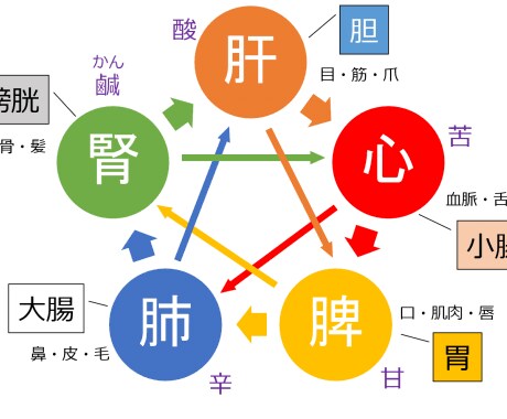 鍼灸師が身体のことや健康相談に乗ります 東洋医学の専門家があなたの身体を分析！ イメージ1