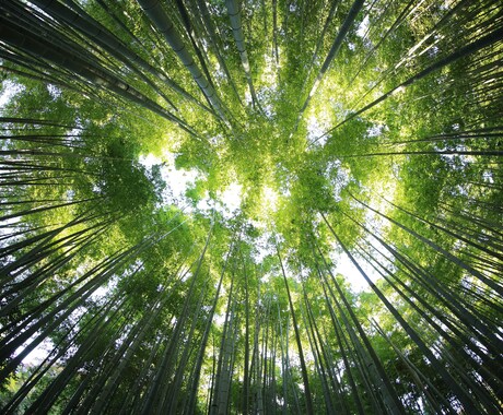 あなたのデートプランを一緒に考えます デートに不安や疑問がある方へ。話してかいしょうしませんか？ イメージ2