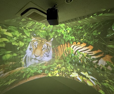 VRゴーグル不要の全員参加型VRを提案します 360°動画再生に最適なVRプロジェクターを使用したイベント イメージ2
