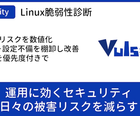 Linuxサーバの脆弱性を可視化し改善提示します “今のリスク”を数値化。棚卸し＆是正方針まで。 イメージ1