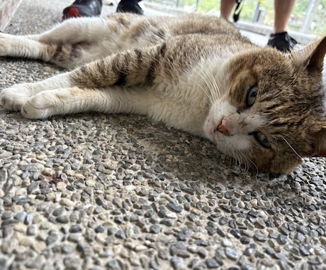 中・高校生に物理基礎・物理のオンライン指導をします 物理学科の現役大学院生です！苦手な子大歓迎！ イメージ1