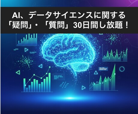 データサイエンス疑問、お悩み質問し放題で支援します 30日間質問し放題です！24時間以内に返信します！ イメージ1