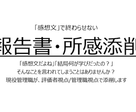 報告書・レポート・ビジネス文章を論理的に添削します 構造・因果・温度感。なぜダメ？を管理職視点で添削します イメージ2