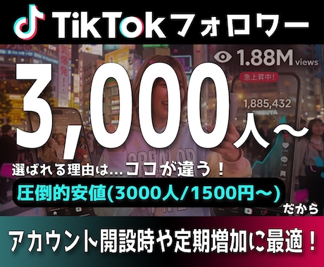 TikTokフォロワー +3,000人増加させます 安全・高品質・最短即日でフォロワー急増！ イメージ1