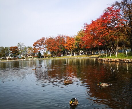 季節の写真提供します 色々な季節や風景の写真提供します！ イメージ2