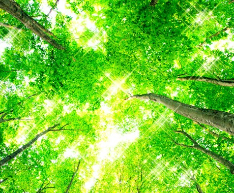 新規様専用☆霊視であなたをお救い致します 運命を読み取り最善の方法をアドバイス致します イメージ1