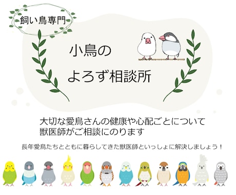 小鳥専門：愛鳥の心配ごとに獣医師がお答えします 飼い主様と愛鳥さんの幸せな毎日をお手伝いします イメージ1