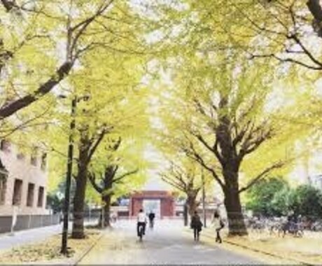 定期テスト〜高校大学受験までアドバイスします 現在の学力にかかわらず今から何をすれば良いかのアドバイスです イメージ1