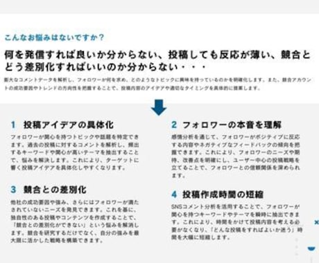 コメント分析で顧客ニーズや悩みを発見し提案します SNSの悩みやニーズを収集して、最も効果的な施策が分かる？ イメージ2