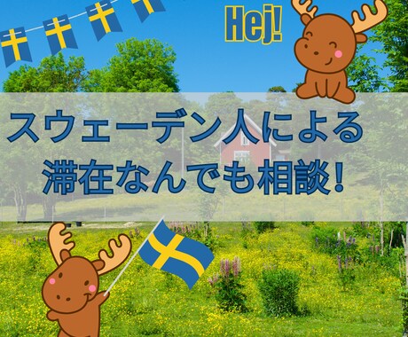 スウェーデン人による現地滞在に関する相談にのります ネイティヴだからこそ本当の現地情報や滞在の不安を即解消！ イメージ1