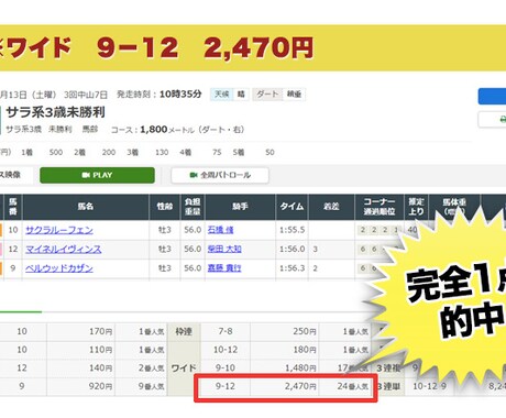 最強の資産形成法！投資競馬の配信サービス紹介します 自宅からスマホでOK！労力とリスクが少ない初心者向け案件です イメージ2