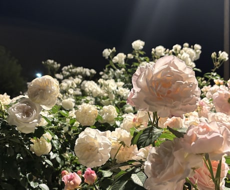 眠れない夜、少しだけお話しませんか☕何でも聞きます 眠れない夜や寂しい時に気軽にお電話ください イメージ2
