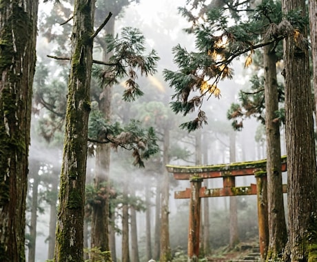 代々相伝の霊山｜悩むあなたへ「山の一言」を贈ります 普段は紹介制。40年、5000件超。言葉だけ。 イメージ2