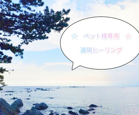 ペット様専用☆直傳靈氣（ジキデンレイキ）を行います 遠隔にてペット様にエネルギーケアを行い、ヒーリングいたします イメージ1