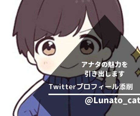 Twitterのプロフィール代行作成します 強みを明確にし、魅力的なプロフィールでファン化を促進 イメージ1