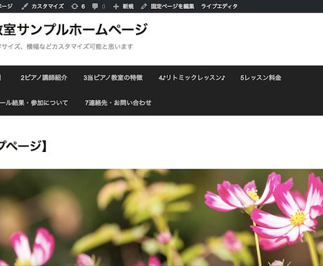 Wordpress設置、設置後ケアの指導支援します 子テーマ、バックアップ、https化など重宝スキル教えます イメージ1