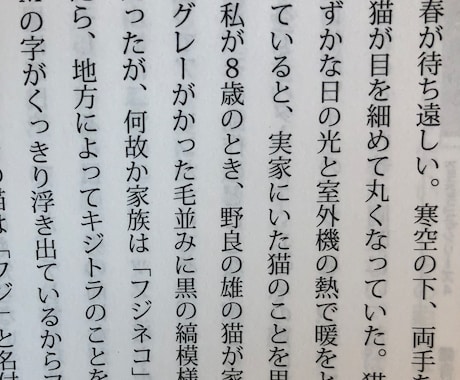 プロのエッセイストが記事/コラム/エッセイ書きます 出版経験のあるプロが記事を書きます。 イメージ1