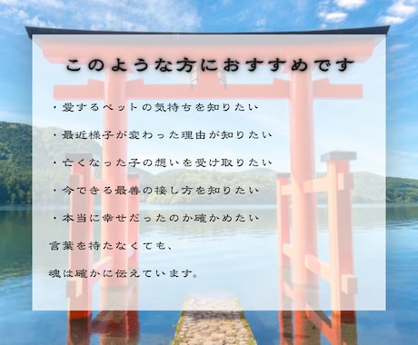 魂の縁｜ペットの想いと出会いの意味を霊視します 【すべては必然です】あの子があなたを選んだ理由を読み解く イメージ2