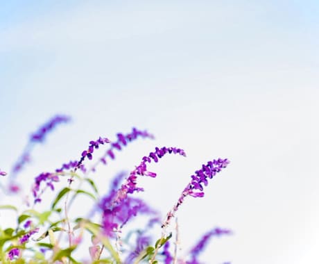 人間関係の悩み　魂の声から紐解きます 職場・友人・家族・パートナーシップ・孤独などの迷いや不安に。 イメージ1