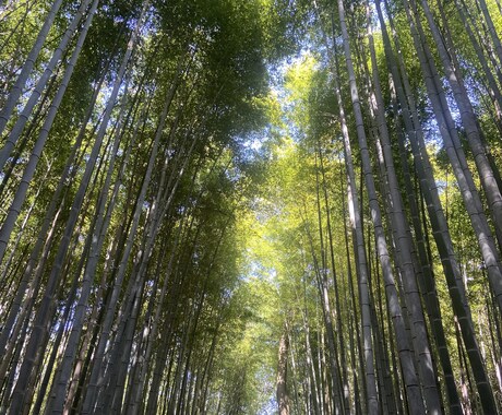 恋愛も夫婦も仕事も。あなたの悩み聞きますます 男目線で本音の意見も。ただ聞くだけの雑談もOKです イメージ1