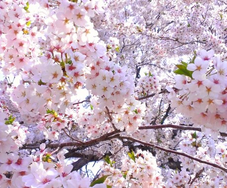 （受付終了）【卒業前に】生数運で準備して、気になるあの人に想いを告げてみませんか？ イメージ1