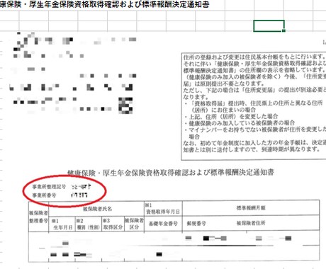 入社時の社会保険／雇用保険のお手続き代行します ⭕️社労士が法律と経験を元に迅速にサポート⭕️ イメージ2