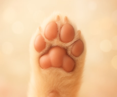 犬の肉球で性格＆運勢を鑑定します 肉球から性格・運勢・相性を読み解くわんこ占い イメージ1
