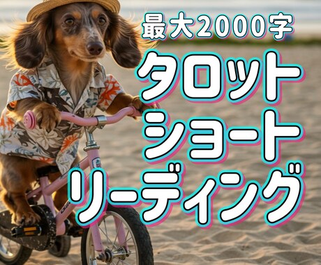 恋愛や仕事どんな事でも現状から未来まで占います 問題解決へのアドバイスあり！最大2000文字のショート版鑑定 イメージ1