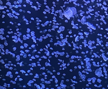 貴女の言いたいこと全部受け止めます イライラ　モヤモヤをスッキリ　元気になるお手伝い イメージ1