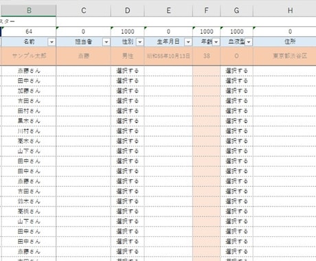 簡単データベース送ります カルテ・検索機能付き　6_簡単データベース イメージ2