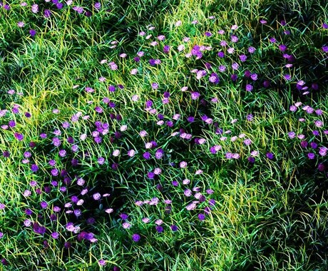 超高品質の3DCG作ります 制作期間を大幅に取り、大規模のCG制作をお手伝いします。 イメージ2