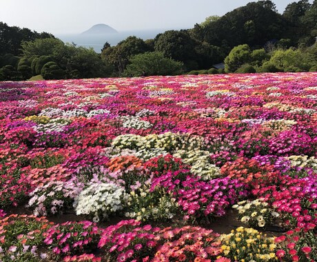 最長7日まで！悩みや愚痴を聞きます 最長7日間聞きます。あなたの癒しになれば幸いでございます。 イメージ1