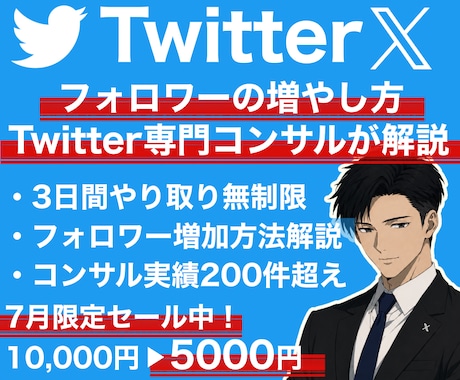 Twitter,Xでのフォロワーの増やし方教えます ご希望の層を的確に狙える専属コンサルの徹底解説！質疑応答◎ イメージ1