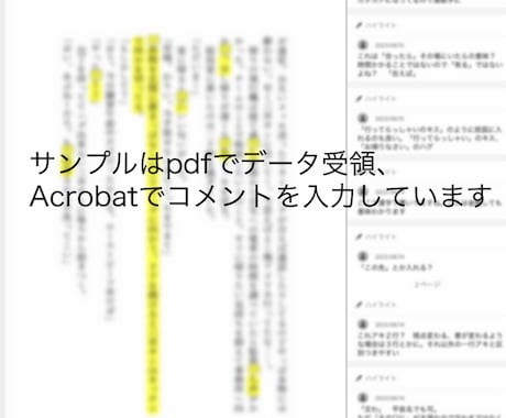 有資格者オタクが校閲・アドバイスします 一次二次ジャンル問わず、同人誌、Web掲載に イメージ2