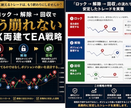 FX両建てロック→解除→回収の全ロジック公開ます 両建て戦略ロック解除回収による資金管理とポジション設計を提供 イメージ2