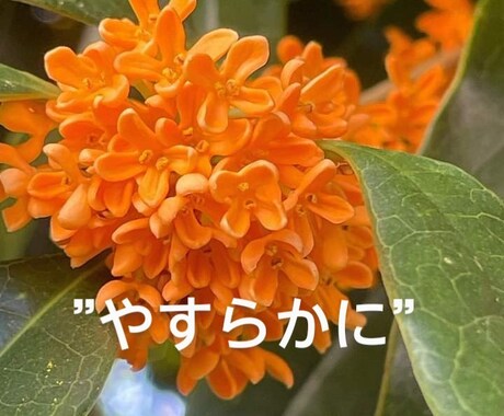想ってくれてありがとう♡遺族経験者が寄り添います 遺族の無念さ♡心痛　後悔　心神喪失　孤独感　弱音愚痴何でも イメージ2