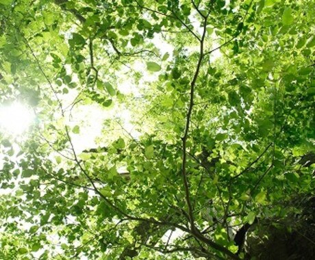 ヒーリングで癒します リラックス効果のあるエネルギーを送り、反応をお伝えします イメージ1